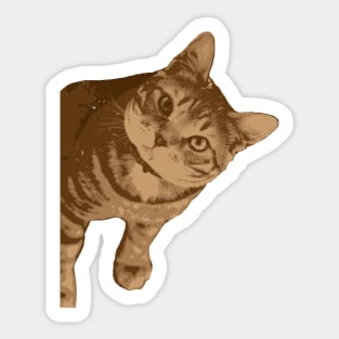 Portrait of cat Sticker